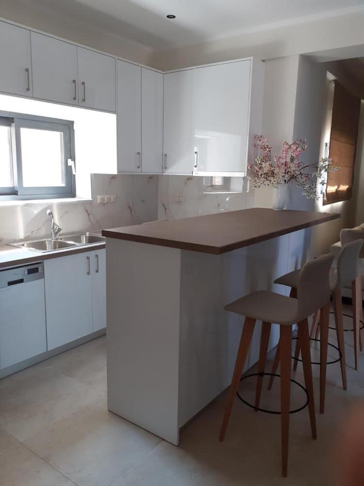 Ionian Stone Luxury Villa Νικιάνα Εξωτερικό φωτογραφία