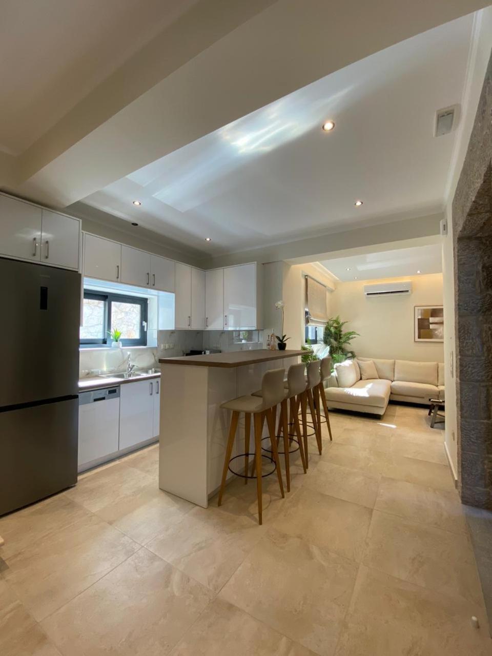 Ionian Stone Luxury Villa Νικιάνα Εξωτερικό φωτογραφία