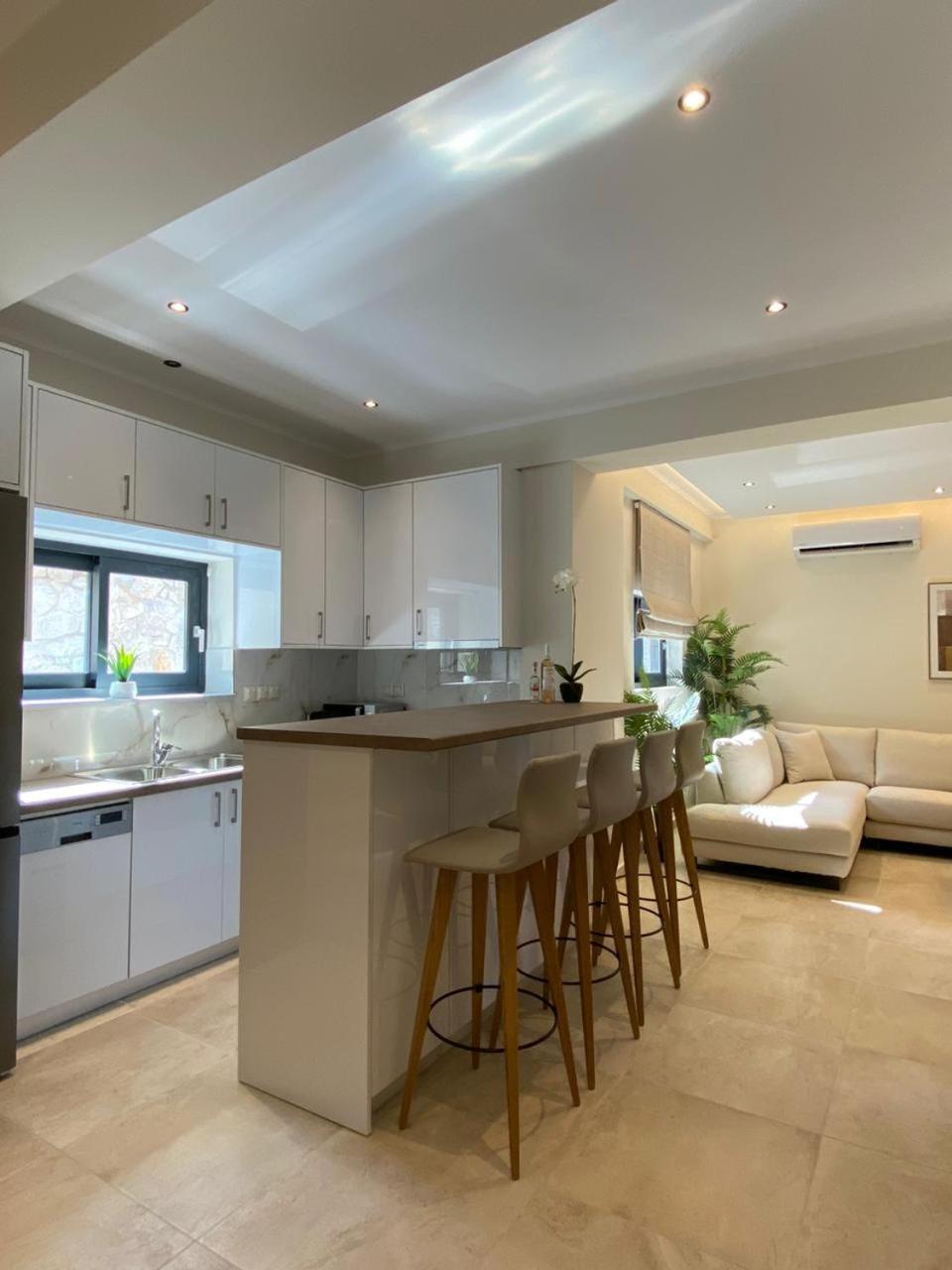 Ionian Stone Luxury Villa Νικιάνα Εξωτερικό φωτογραφία
